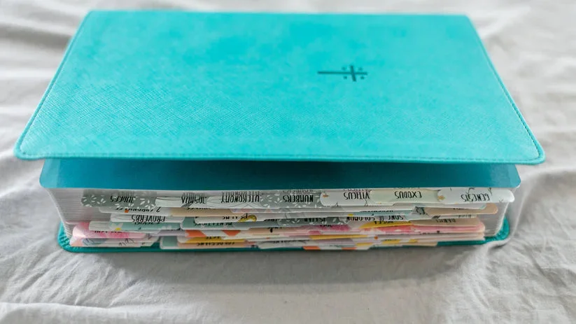 shopblushblossom6260537