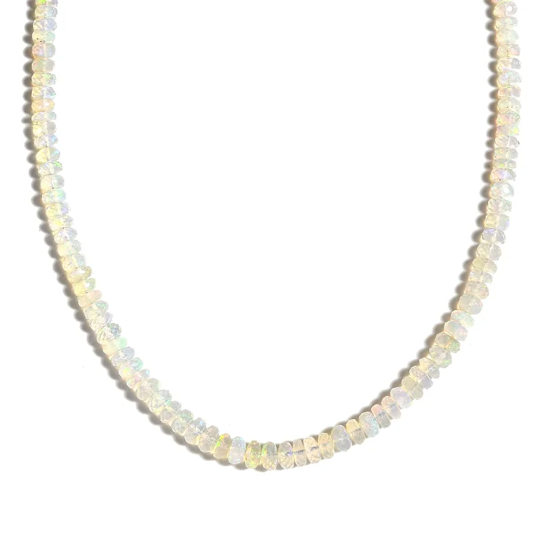 shoplc3868235