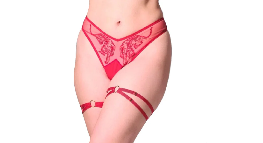 treasurelingerie6287585